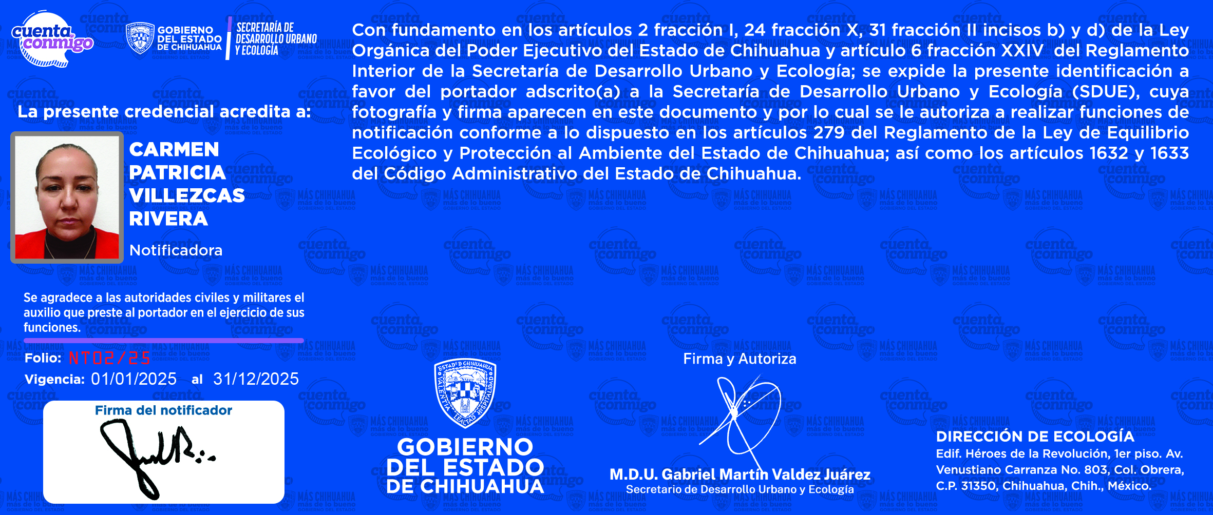 Carmen Patricia Villezcas Rivera