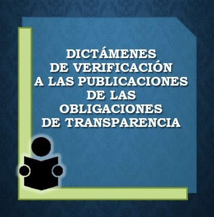 Dictamenes de Verificacion de las Publicaciones de Transparencia