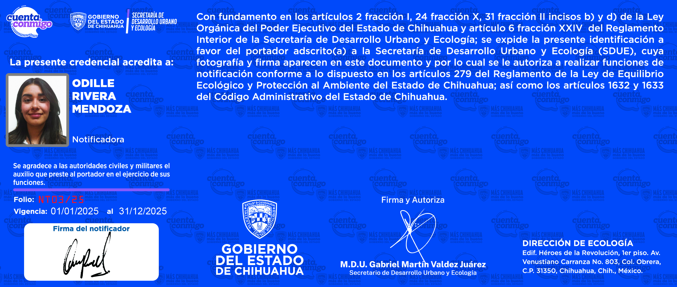 Odille Rivera Mendoza