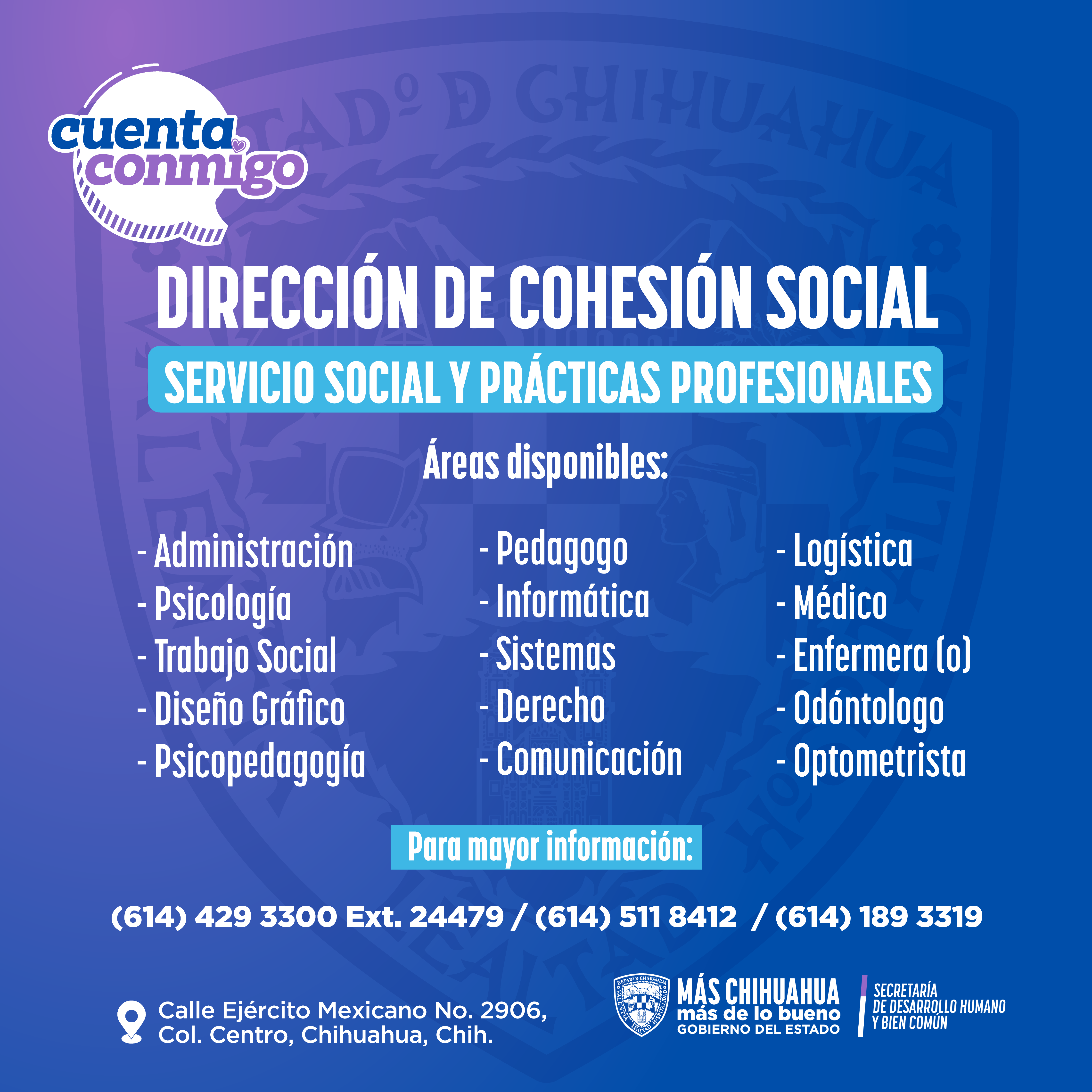 Servicio Social Direccion de Cohesion Social