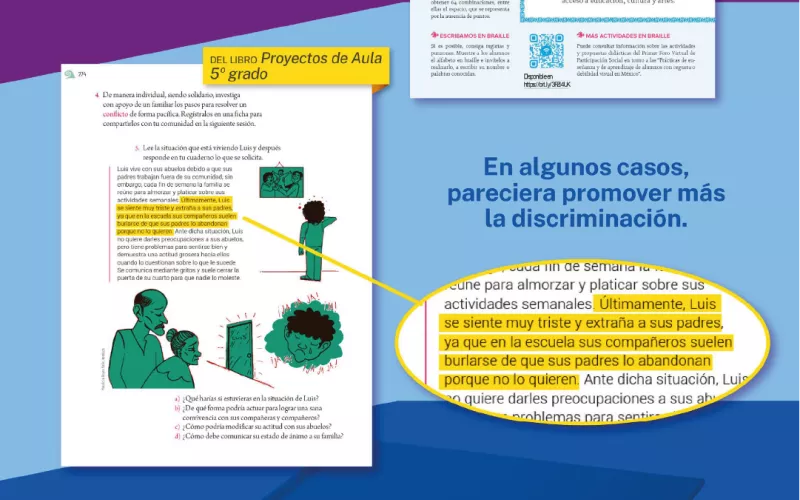 3) Distorciona la inclusión y en algunos casos la discrimina. y 4) No toman en cuenta a los padres en el proceso educativo.