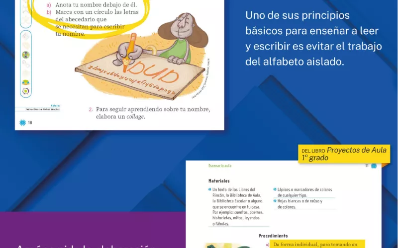 5) Carece de metodología para enseñar y escribir.