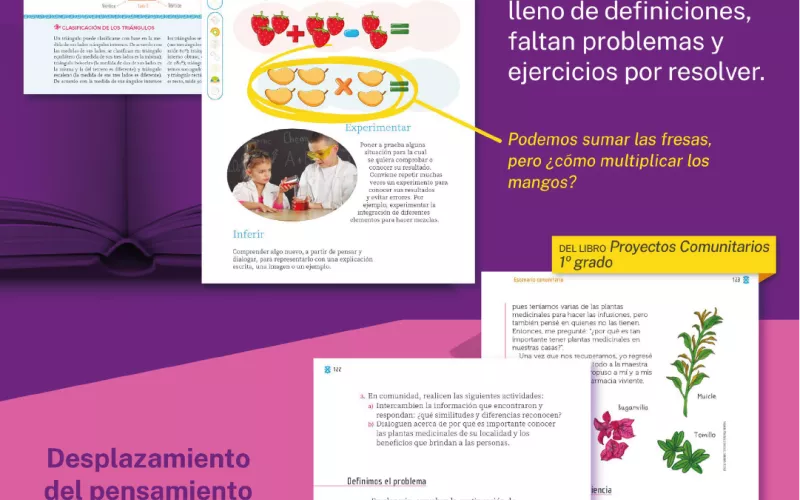 6) Falta metodología para enseñar matemáticas.