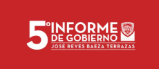 Logo 2009