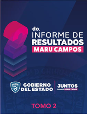 2do Informe de Resultados - Tomo 2